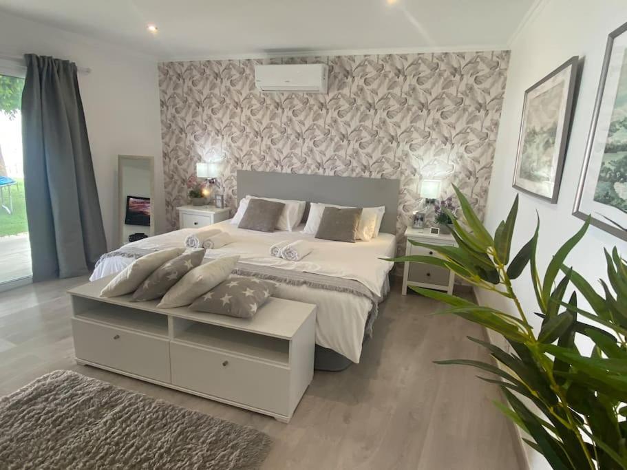 Malibu Ocean Villa ซานตาครูซ เด เตเนริเฟ ภายนอก รูปภาพ