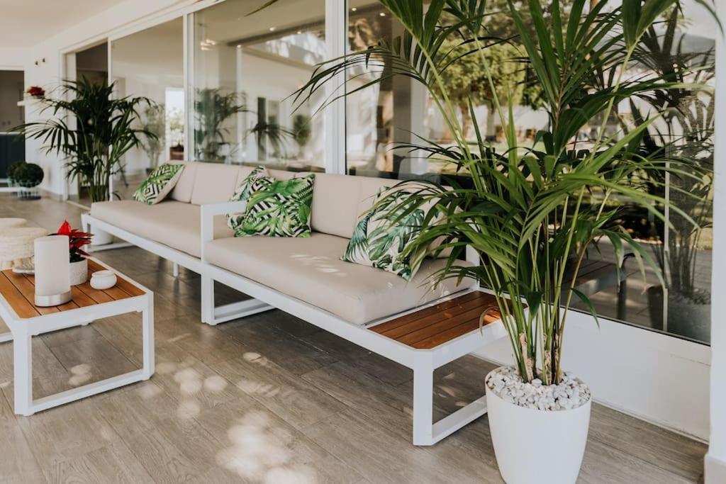 Malibu Ocean Villa ซานตาครูซ เด เตเนริเฟ ภายนอก รูปภาพ